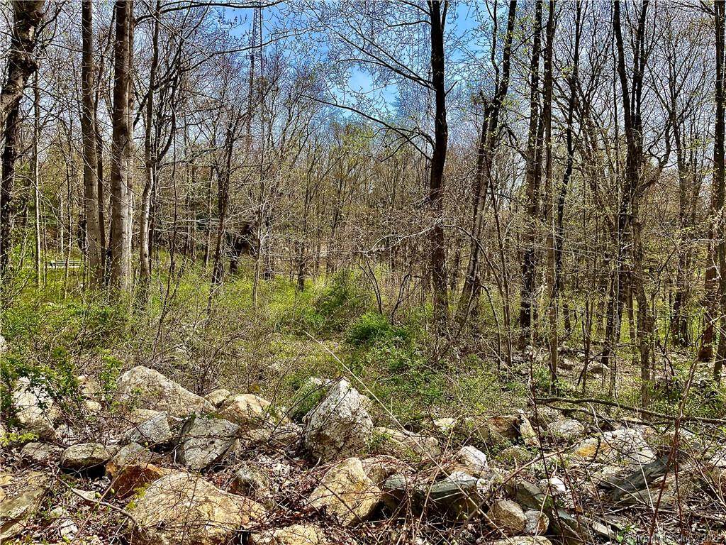 273-2 Windham Avenue - Photo 1