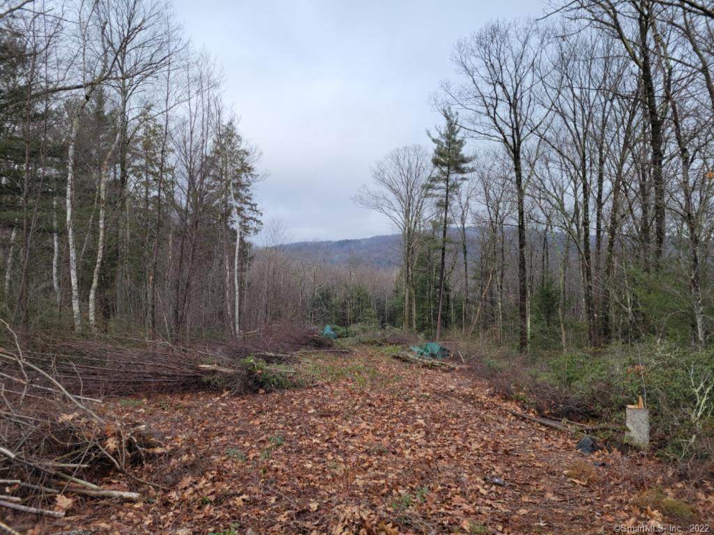 50 Hill Farm Way - Photo 1