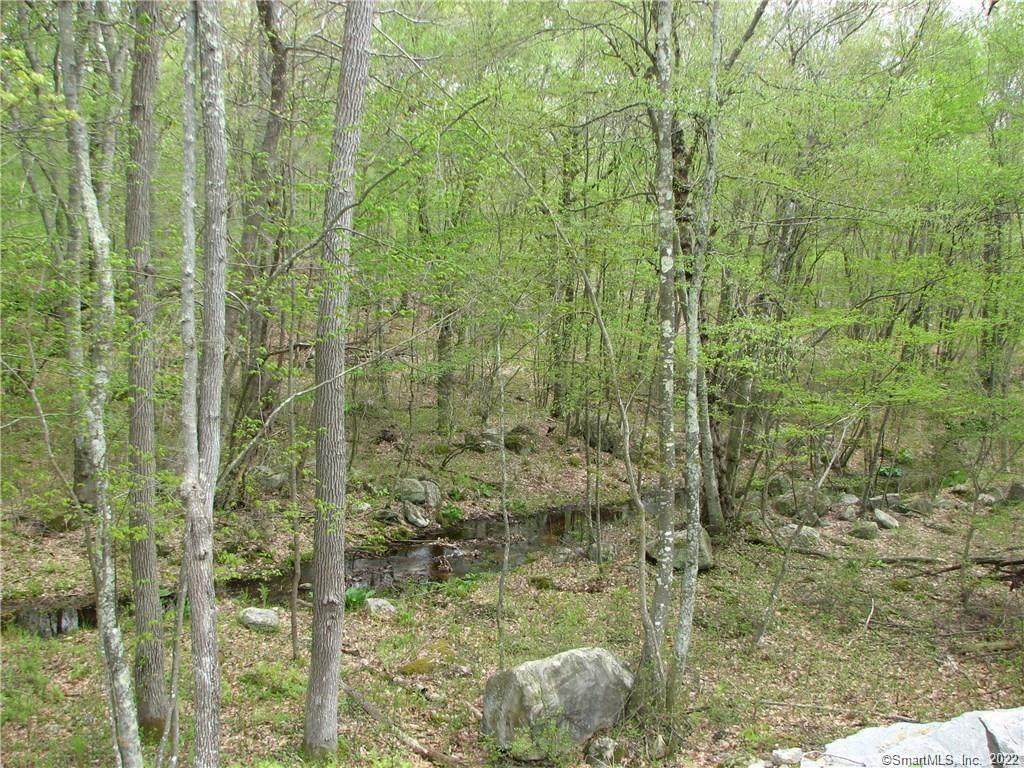 41 Shawondassee Drive - Photo 1