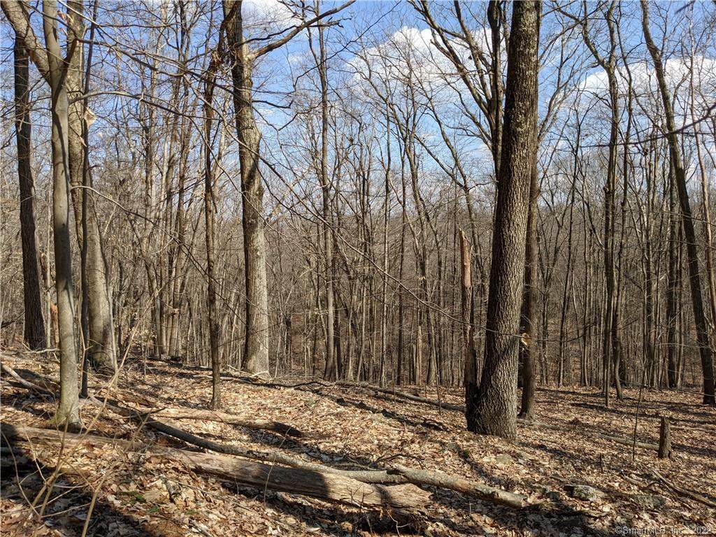 000 Castle Rock Road - Photo 1