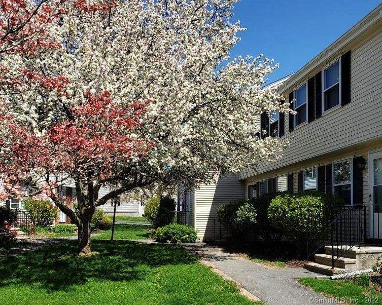 8 Stonecress Lane - Photo 1