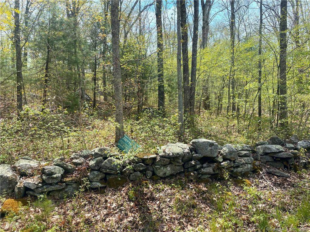 00 Cushman Road - Photo 1