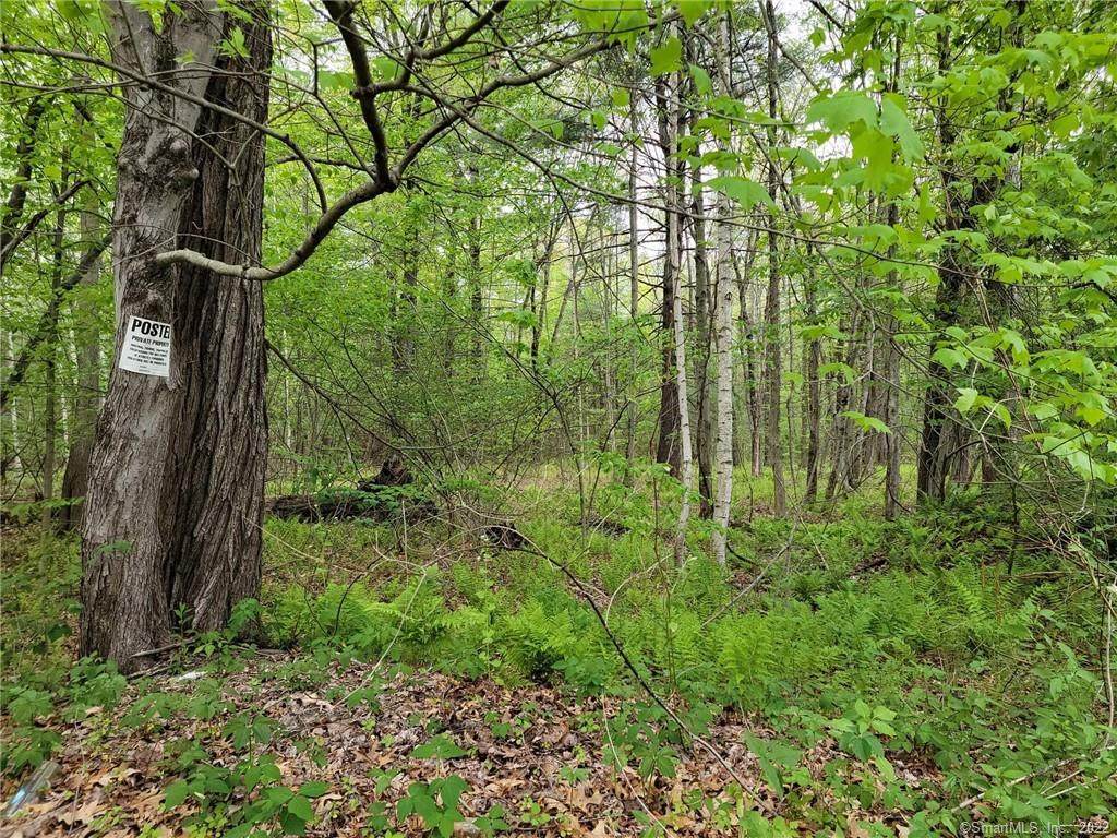 0 Winkler Road - Photo 1