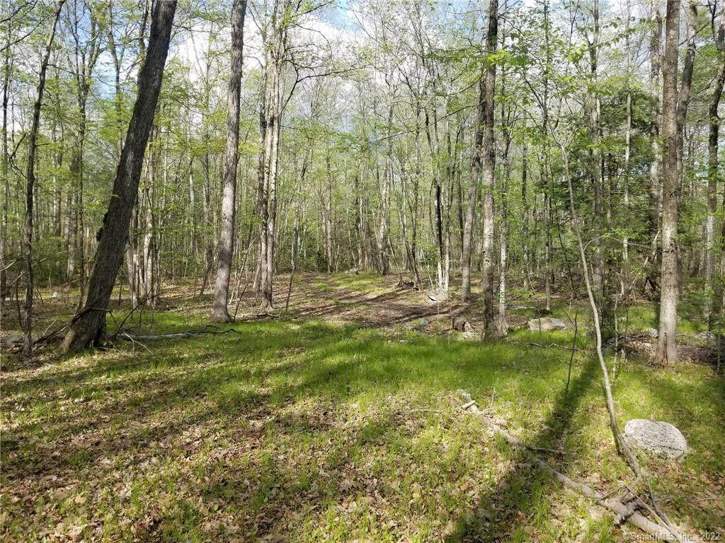 00 Bigelow Hollow Road - Photo 1