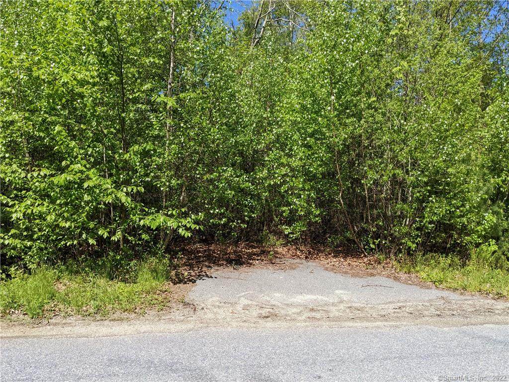 125 Woodland Road - Photo 1