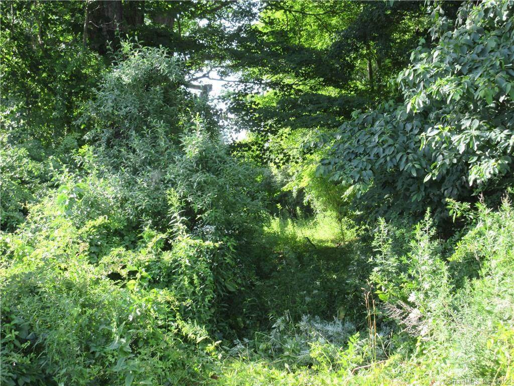 233 Rogers Road - Photo 1