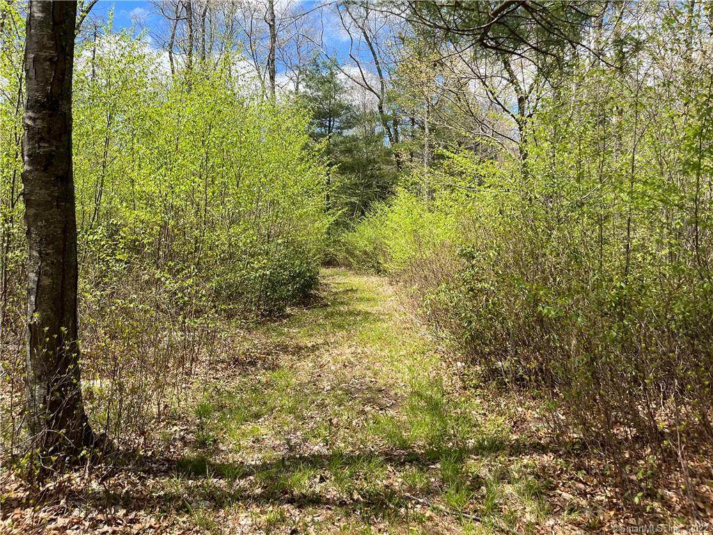 00 Denison Hill Road - Photo 1