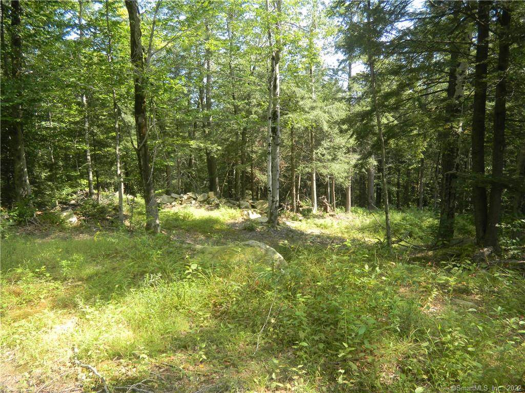 00 Ivy Mountain-Lot2 Road - Photo 1