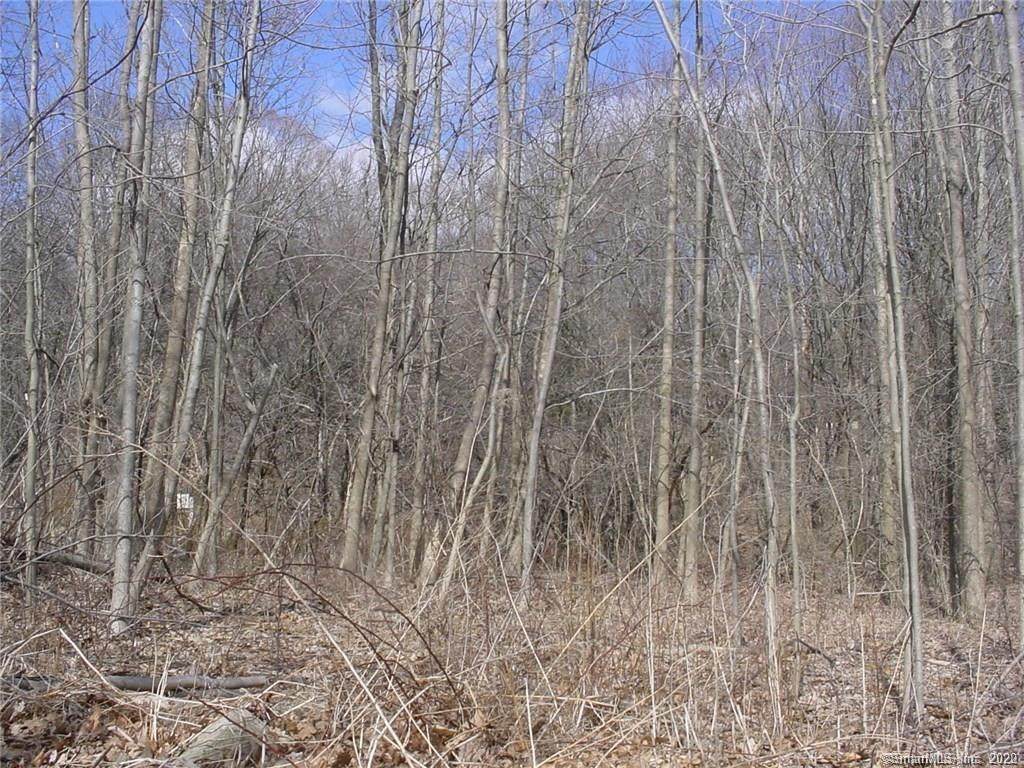 2 Sharon Turnpike - Photo 1