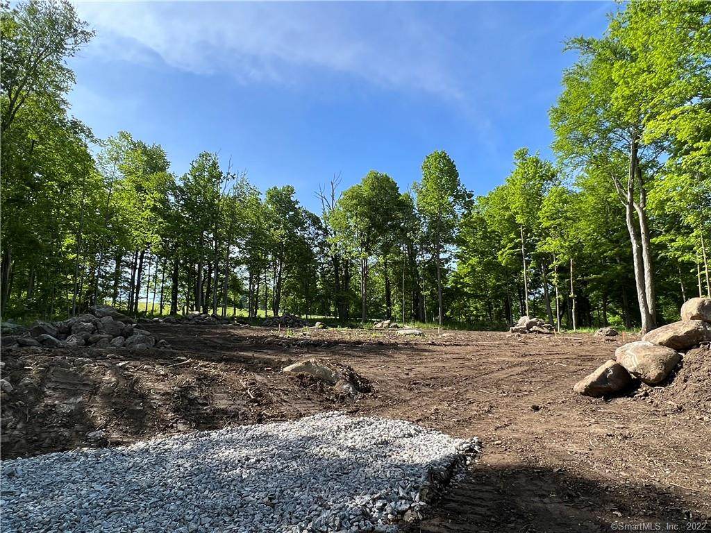 Lot 8 Crown View Drive - Photo 1