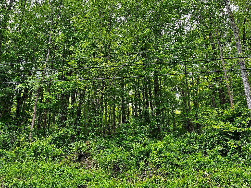 99 West Street - Photo 1