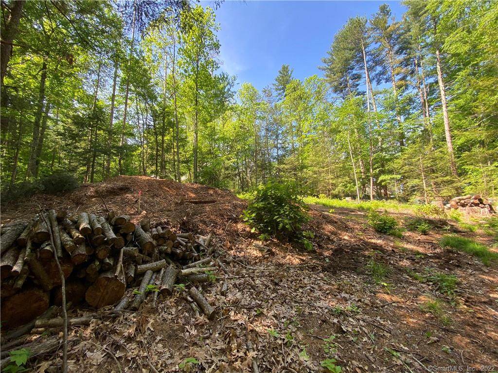0 Red Cedar Road - Photo 1