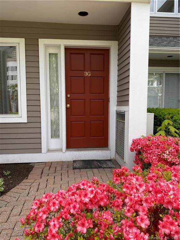 453 Putnam Avenue - Photo 1
