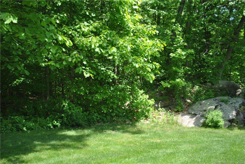 0 Silver Birch Road - Photo 1