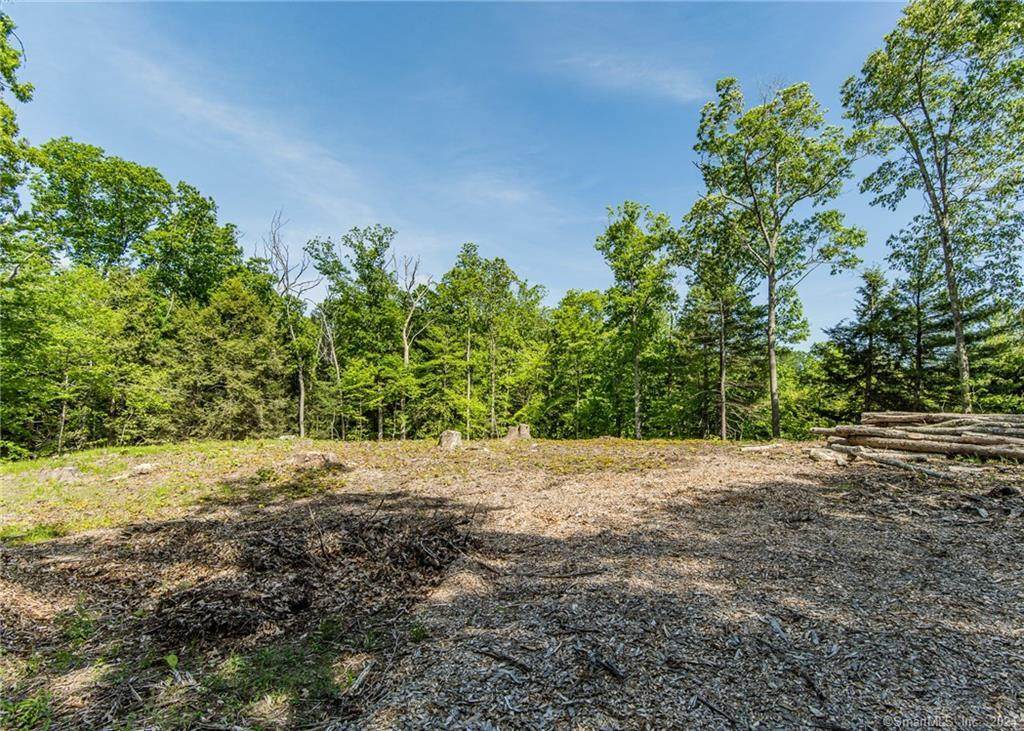 257 Wolf Den Road - Photo 1