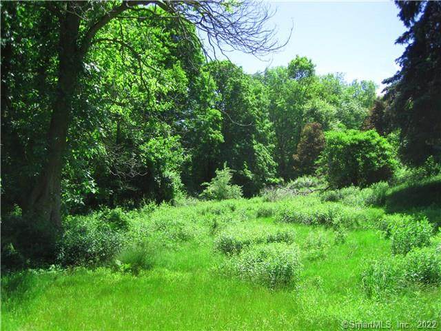 97 Moose Hill - Photo 1