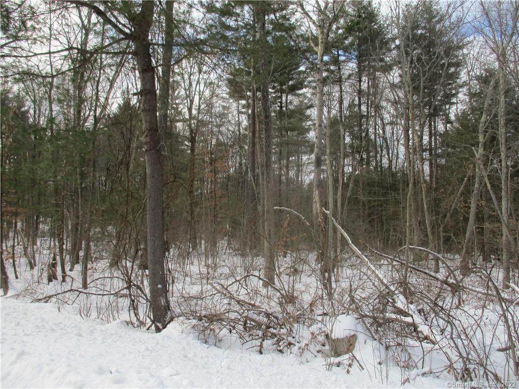 000 Weingart Road - Photo 1