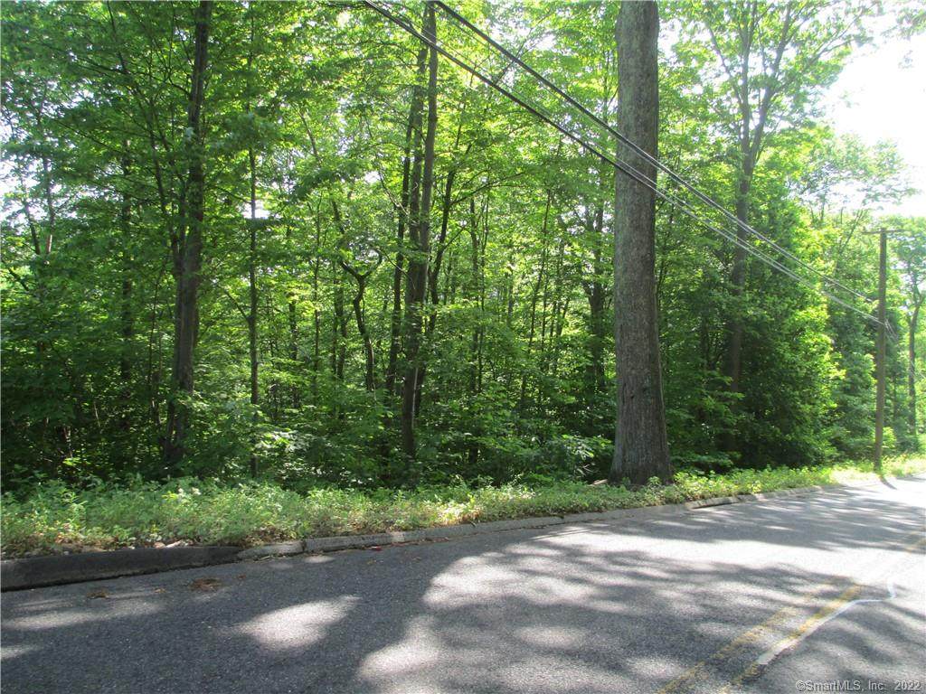 80 Andrew Mountain Road - Photo 1