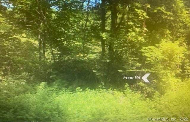 Lot 43 Fenn Road - Photo 1