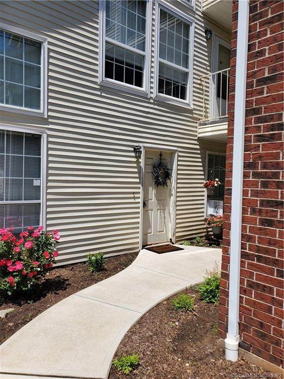 248 Carriage Crossing Lane - Photo 1