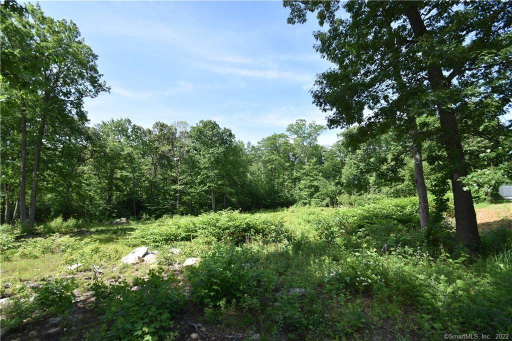 266 Country Club Road - Photo 1