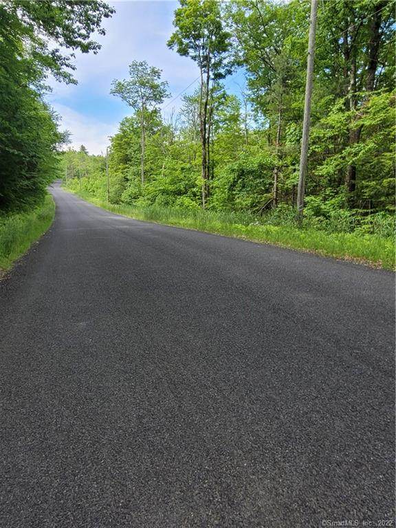 54.2 Sandisfield Road - Photo 1