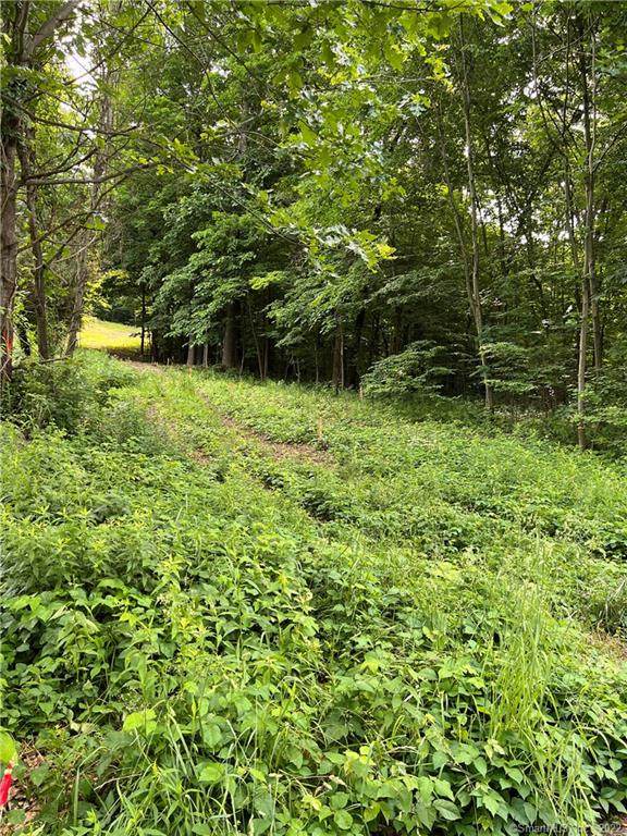 323 Wedgewood Road - Photo 1