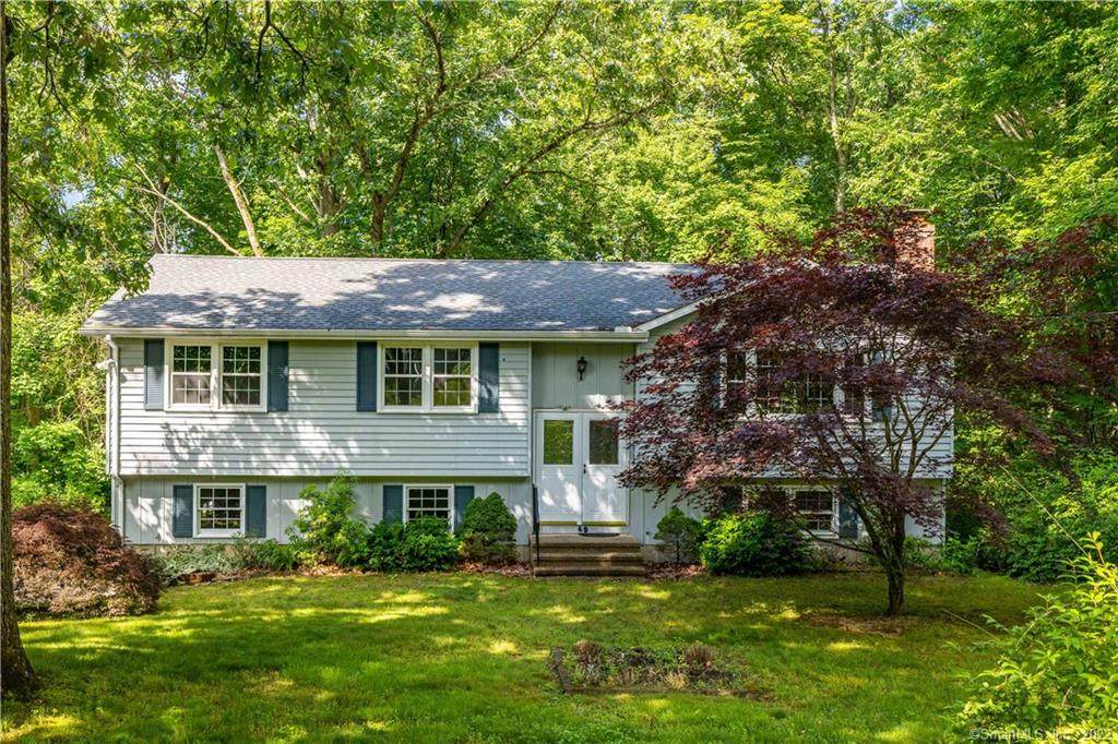49 Champion Hill Road - Photo 1