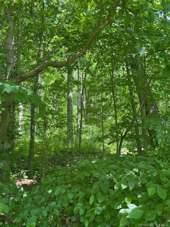 126 Williamsburg Drive - Photo 1