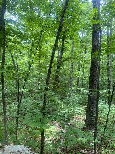 10 Cherry Swamp Road - Photo 1