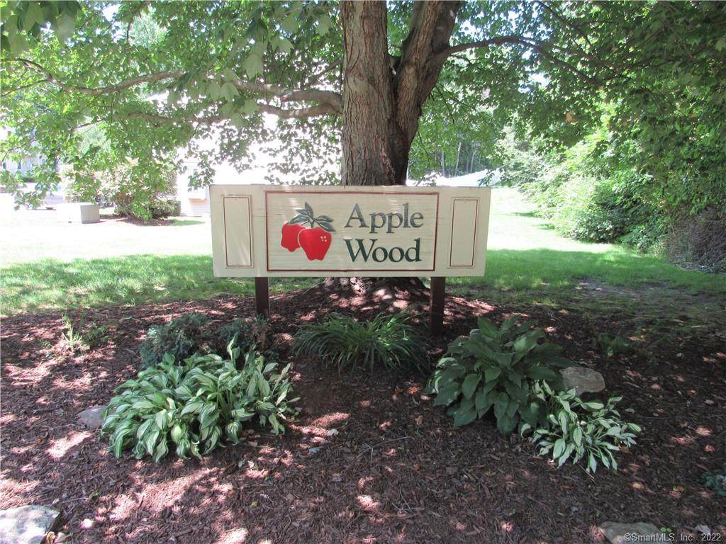 26 Winesap Court - Photo 1
