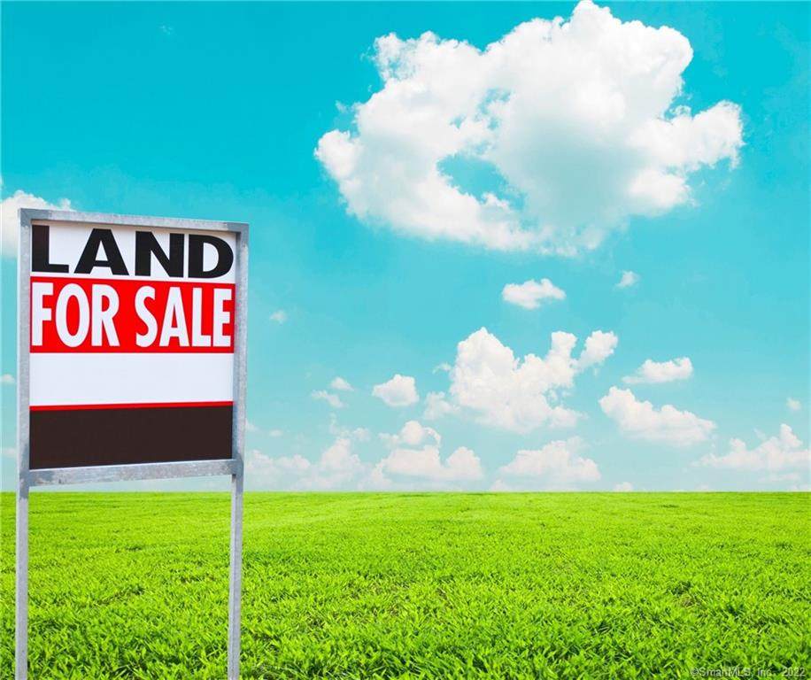 Lot 0 Black Hill Road - Photo 1