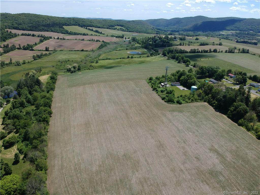 113 Depot Hill Road - Photo 1