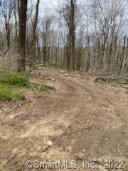 152 Middle Haddam Road - Photo 1
