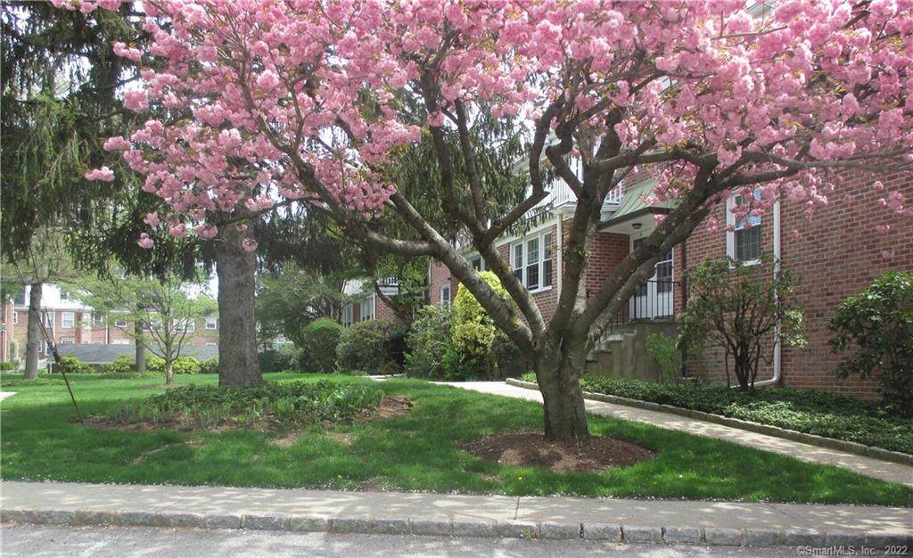 181 Putnam Park - Photo 1