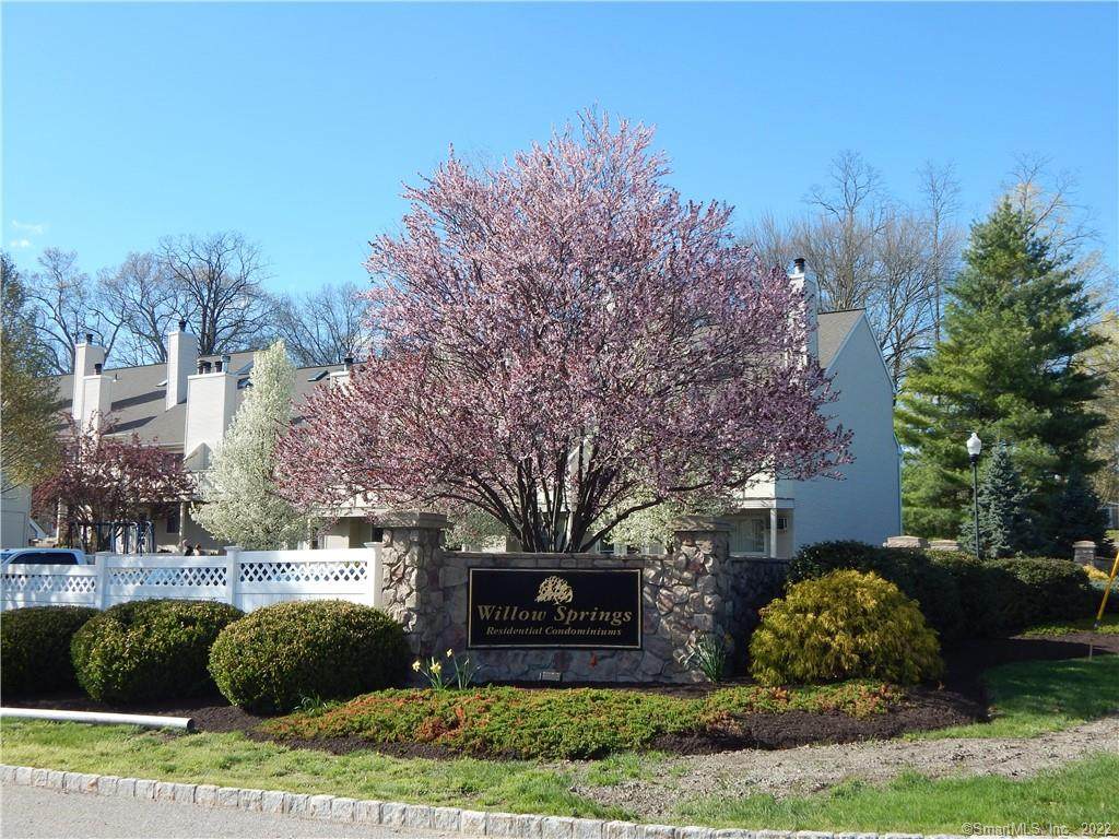 324 Willow Springs - Photo 1