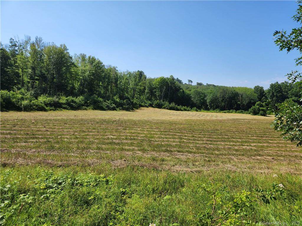 218 Wood Road - Photo 1