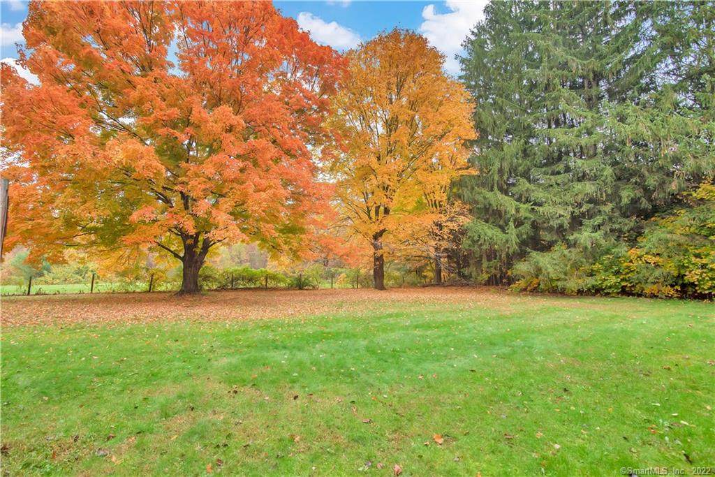271 Moody Road - Photo 1