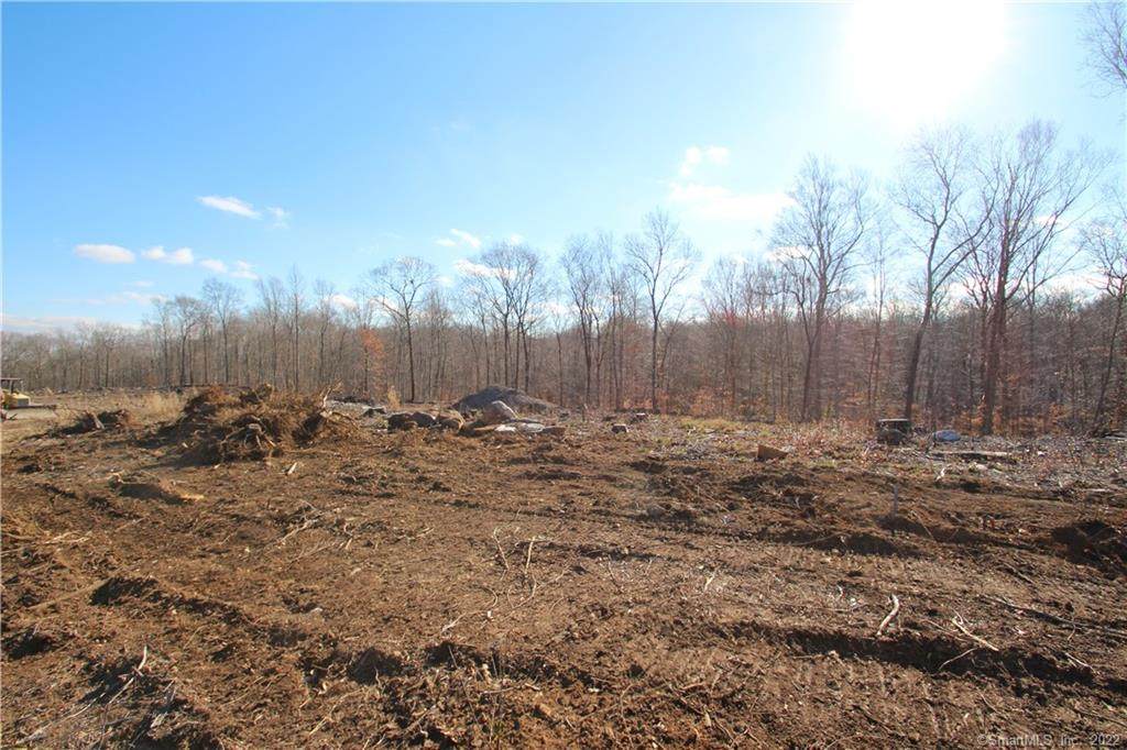 0 South Rd Lot #5 - Photo 1