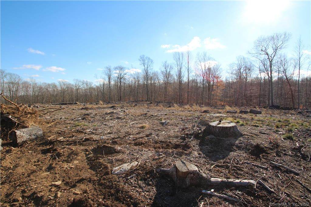 0 South Rd Lot #6 - Photo 1