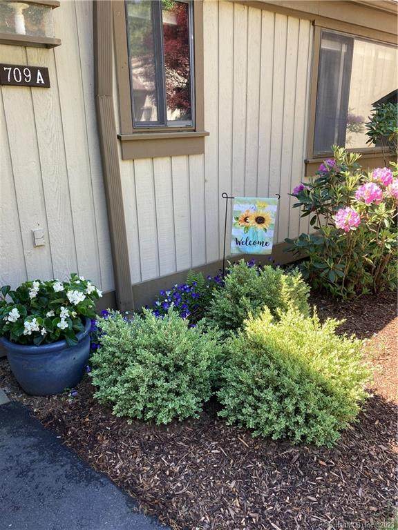709 Heritage Village - Photo 1