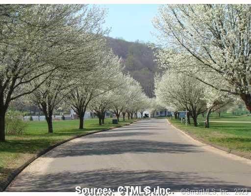 0 Blue Hills & Bluff View Drive - Photo 1