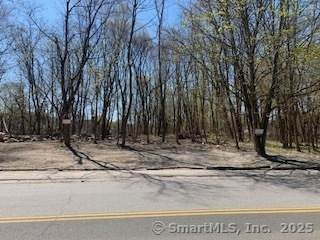 00 Winthrop St & E Elm Street - Photo 1