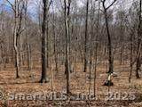 42 A.P. Gates Road - Photo 1
