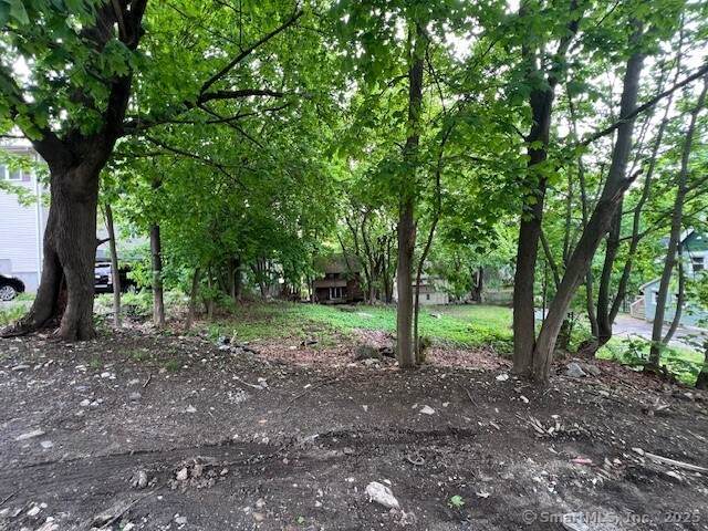 42 Bellevue Street - Photo 1
