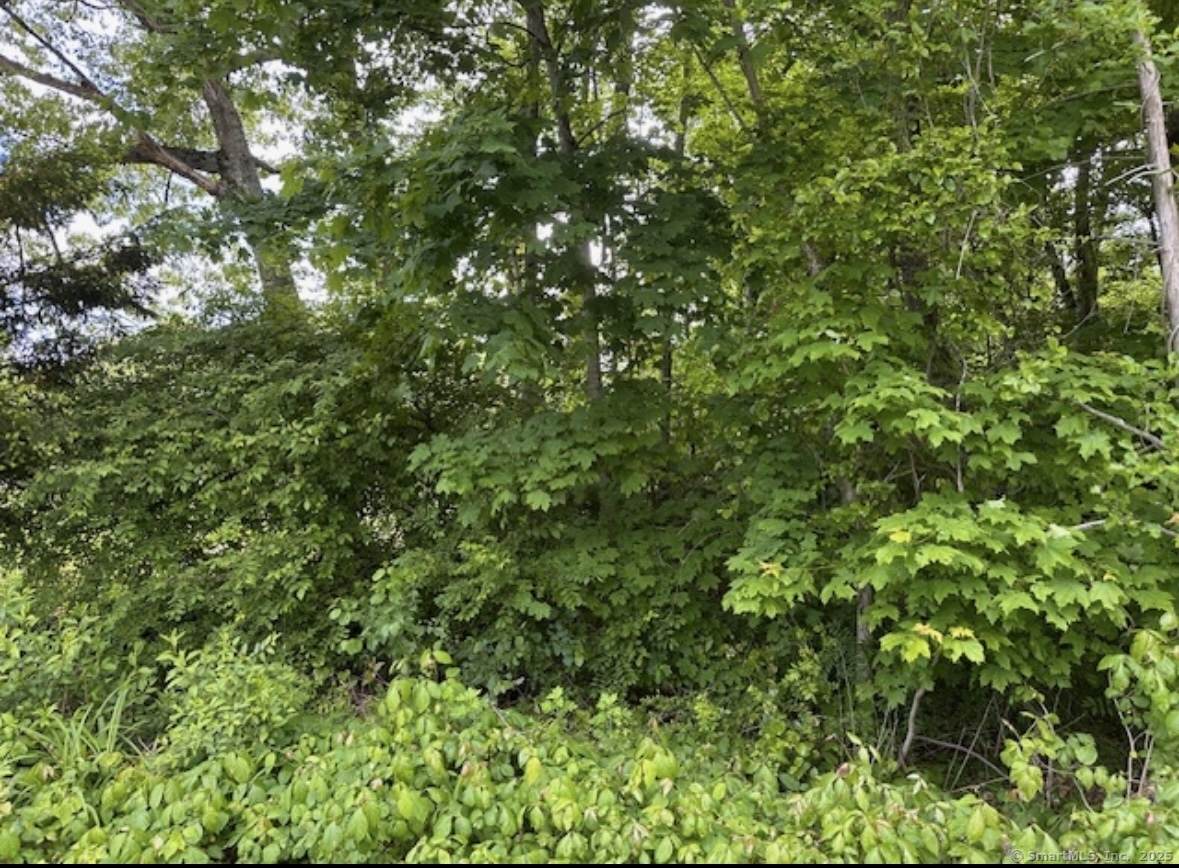 230 Vergason Avenue - Photo 1