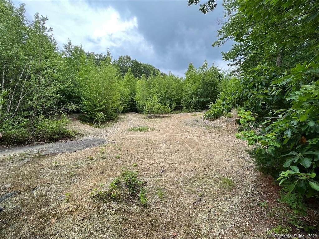 353 Allentown Road - Photo 1