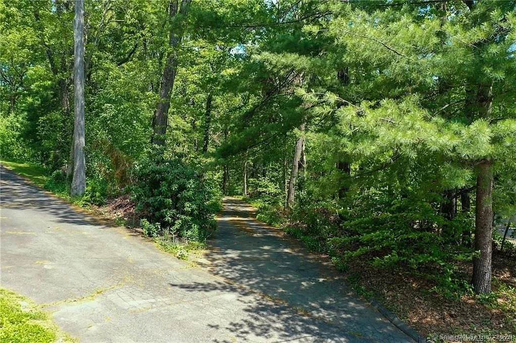 318 3 Mile Road - Photo 1
