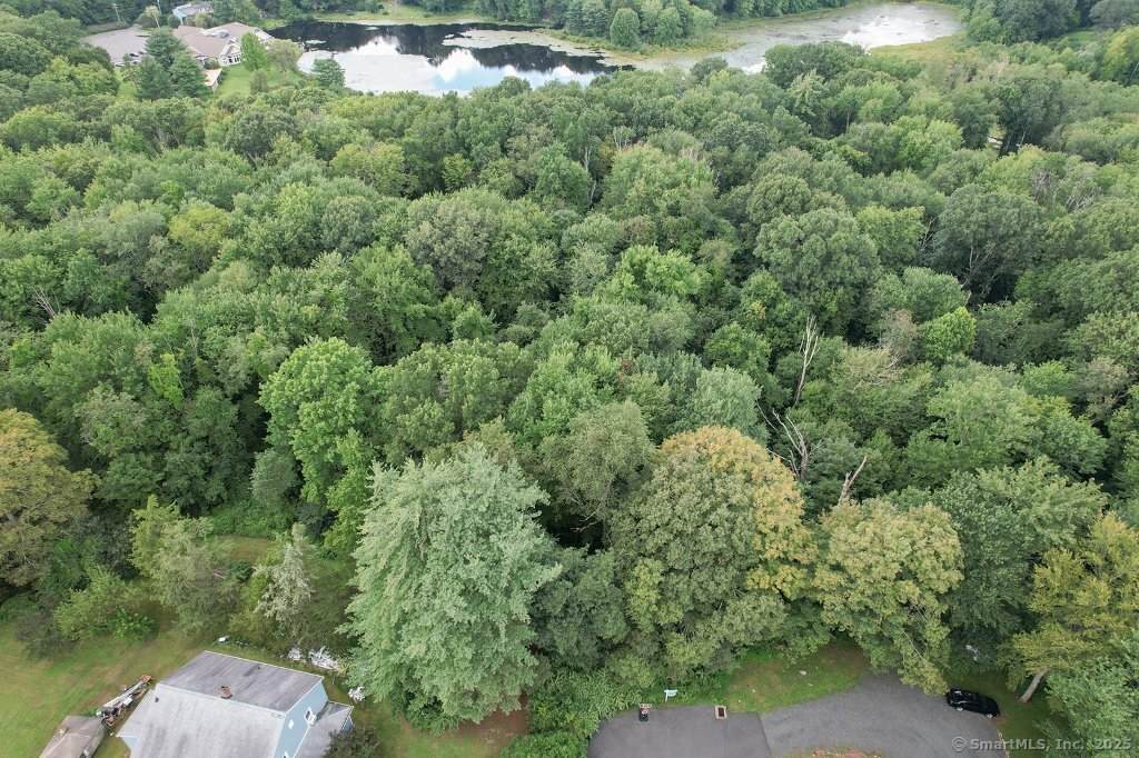 Lot 167 Shelton Avenue - Photo 1