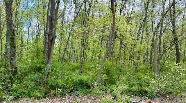 Old Toll Rd Road - Photo 1